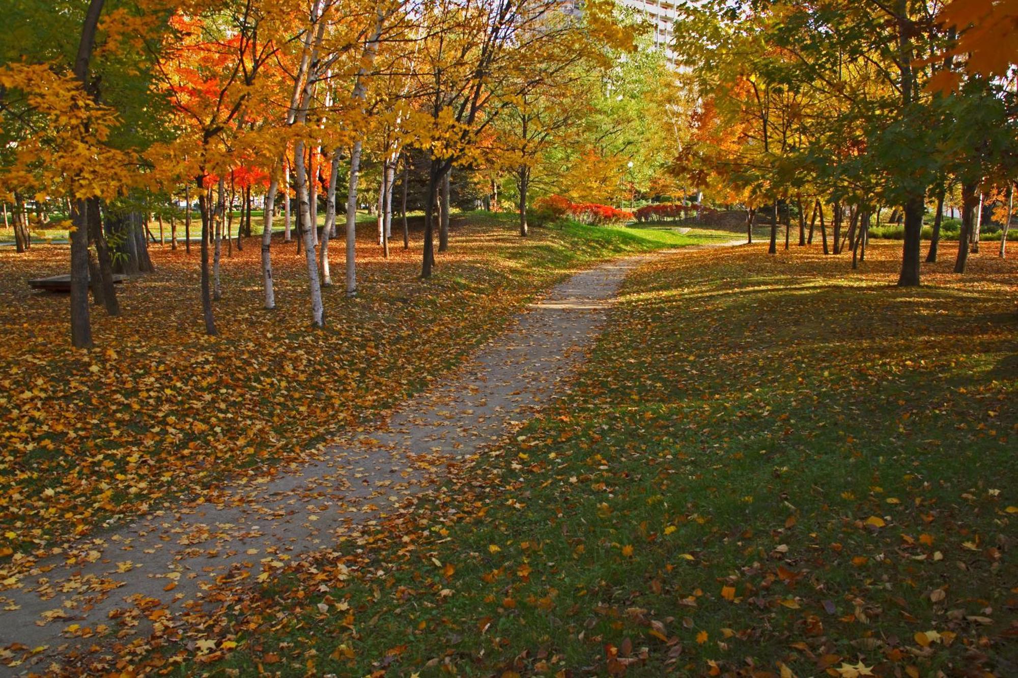 Sapporo Park Hotel Eksteriør bilde